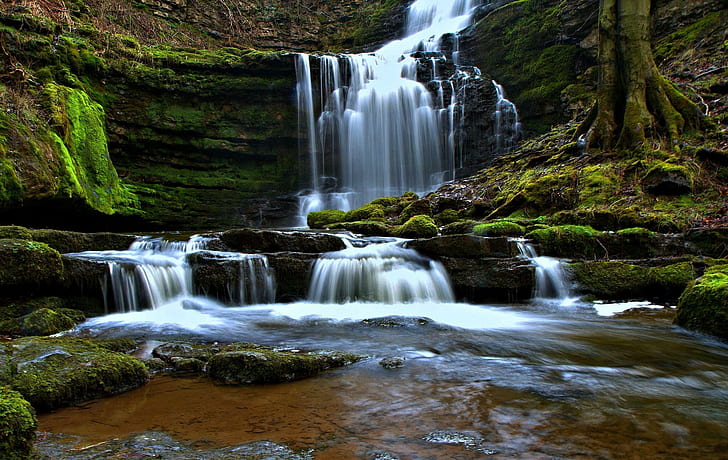 Scaleber Force, Yorkshire Dales, England, water falls, waterfall, HD wallpaper