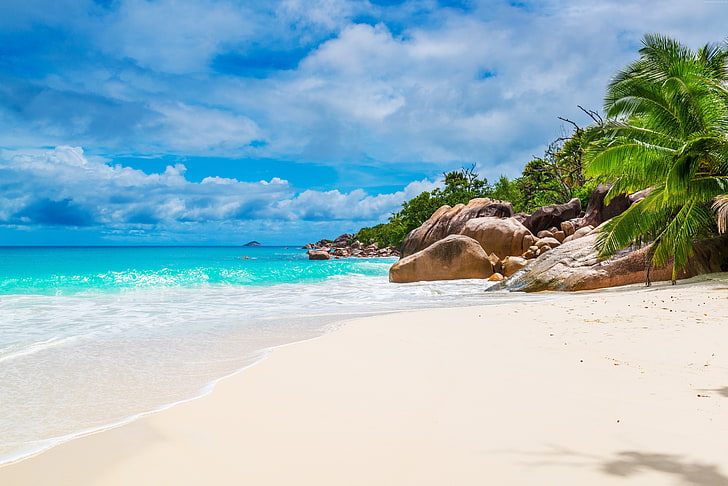 ocean, sky, coast, 5K, palm, beach, Seychelles, Maldives, water, HD wallpaper