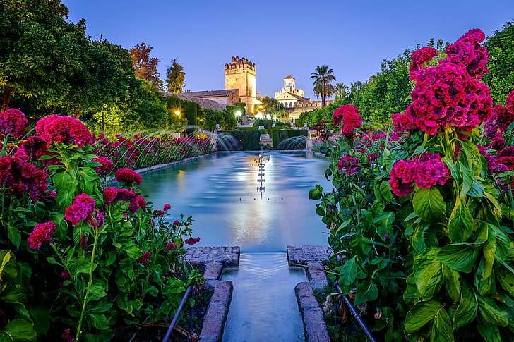 pink petaled flowers and body of water, garden, fountain, fortress, HD wallpaper