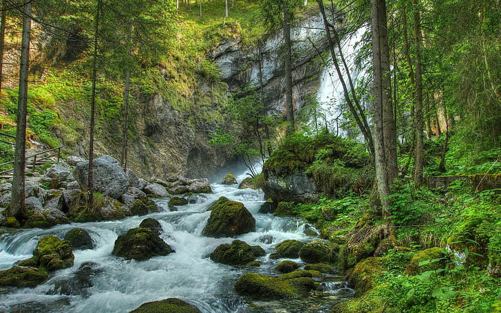 Forest Waterfall River Rocks Landscape Pictures Free, timelapse river, HD wallpaper