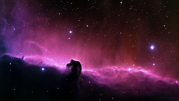 nebula, Horsehead Nebula, stars, space, HD wallpaper