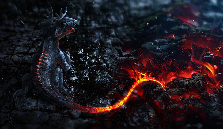 magma ashes small tails, water, animal, animal themes, no people, HD wallpaper