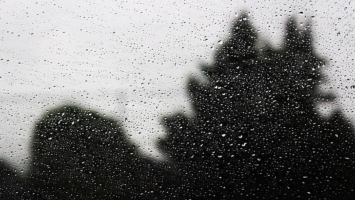 silhouette of items, water, water drops, water on glass, window