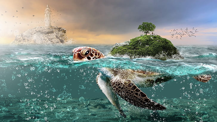 tortoises, water, digital art, nature, HD wallpaper