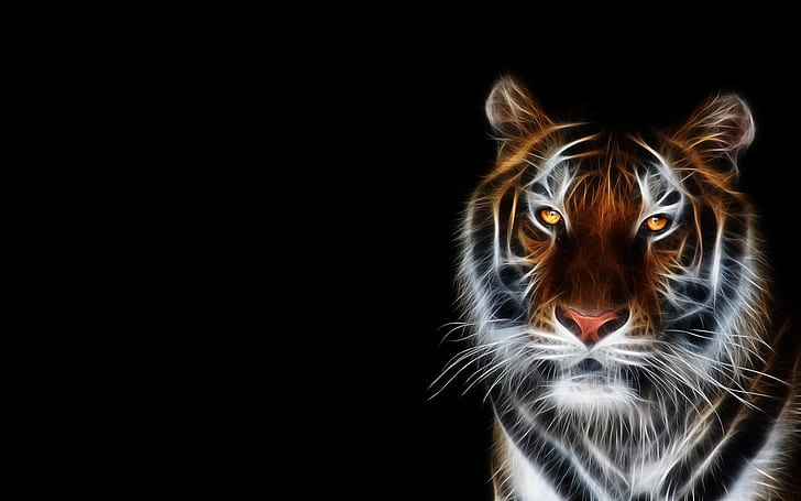 Tiger hd pic 1080P, 2K, 4K, 5K HD wallpapers free download | Wallpaper Flare