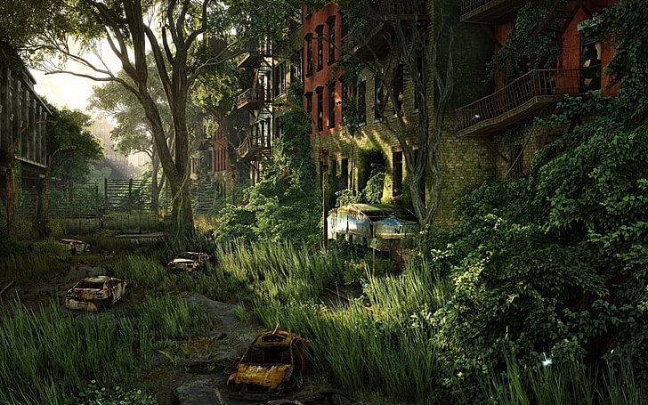 Crysis 3, forest, nature, Overgrown, tree, plant, transportation