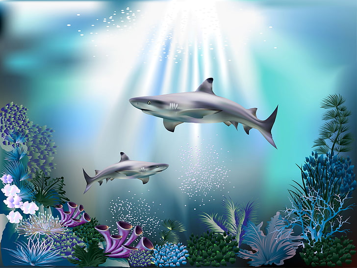 shark wallpaper, sea, bubbles, blue, corals, sharks, underwater world, HD wallpaper