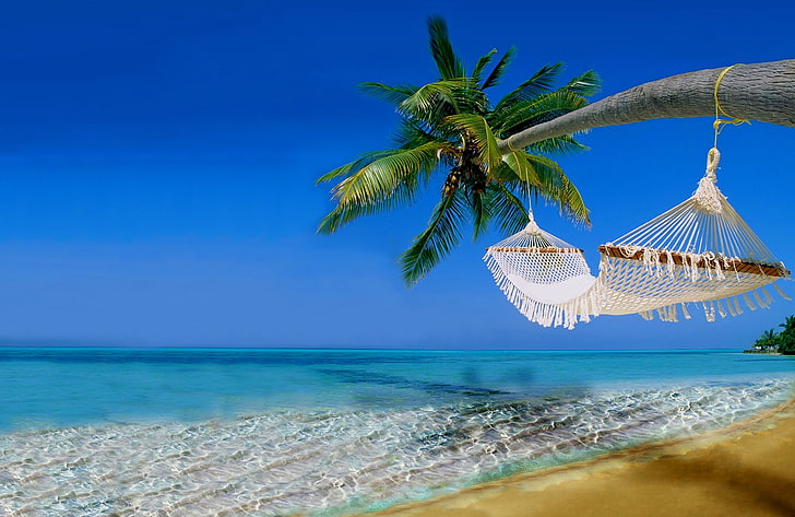 hammocks, sea, water, palm tree, sky, tropical climate, beauty in nature, HD wallpaper