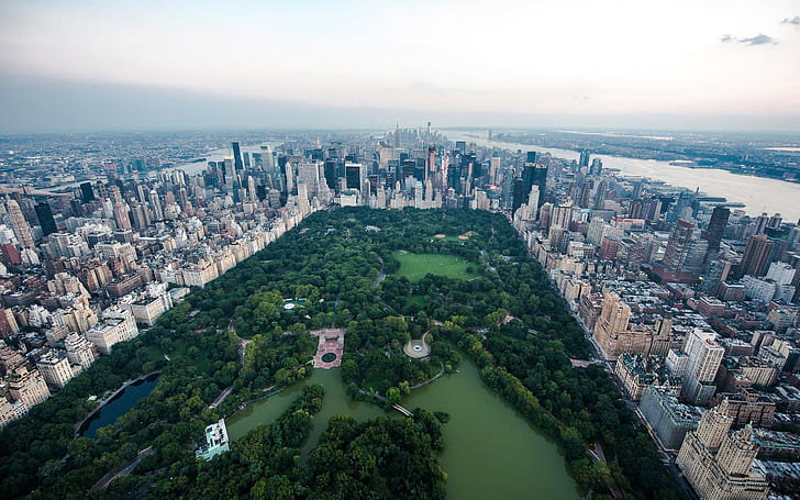 aerial view, cityscape, Central Park, USA, New York City, HD wallpaper