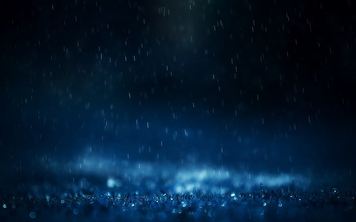 untitled, rain, nature, macro, leaves, backgrounds, night, space, HD wallpaper