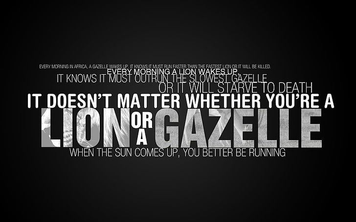 lion or a gazelle quote sign, inspirational, typography, text