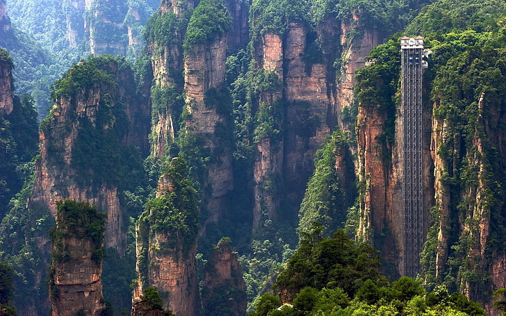 brown and green forest, bailong elevator, hunan, china, zhangjiajie, HD wallpaper