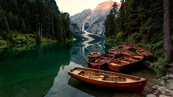 nature, water, reflection, wilderness, tree, landscape, lake, HD wallpaper