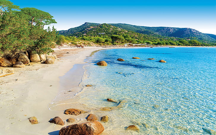 Azure Crystal Clear Sea Water Of Palombaggia Beach On Corsica Island France  Stock Photo - Download Image Now - iStock