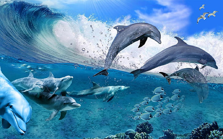 Happy Dolphins Game Sea Fish Coral Waves, Summer Wallpaper Hd For Desktop 1920×1200