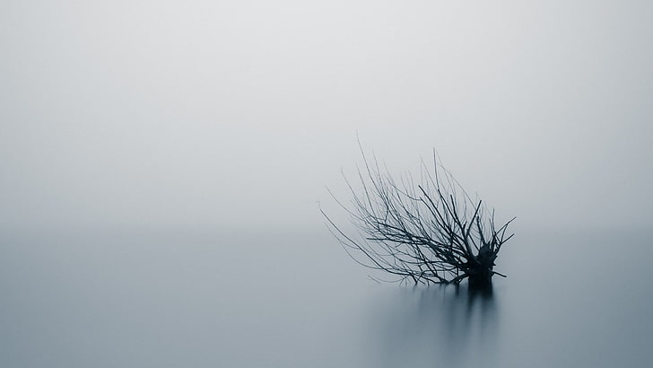untitled, nature, landscape, minimalism, water, mist, long exposure, HD wallpaper