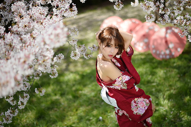 Asian, women, yukata, Japanese umbrella, cherry blossom, plant