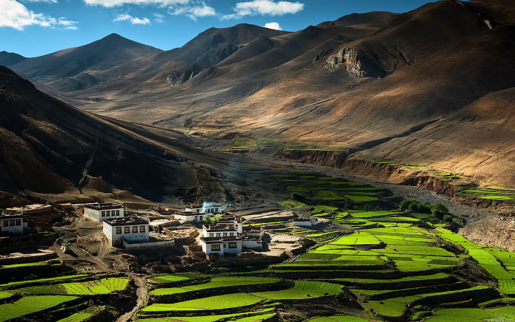 green terraces, china, tibet, himalayas, fields, agriculture, HD wallpaper