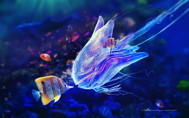 adam, artwork, blue, fish, jellyfish, spizak, underwater, HD wallpaper