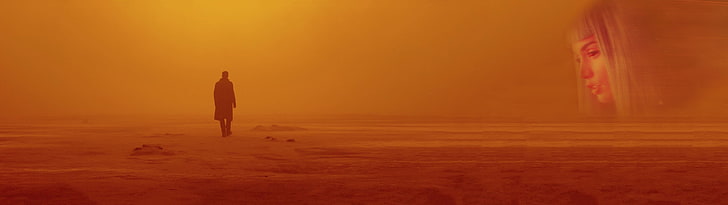 man standing on open field digital wallpaper, Blade Runner 2049