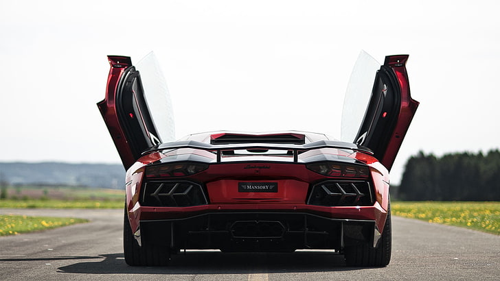 Lamborghini Aventador, motor vehicle, transportation, car, mode of transportation