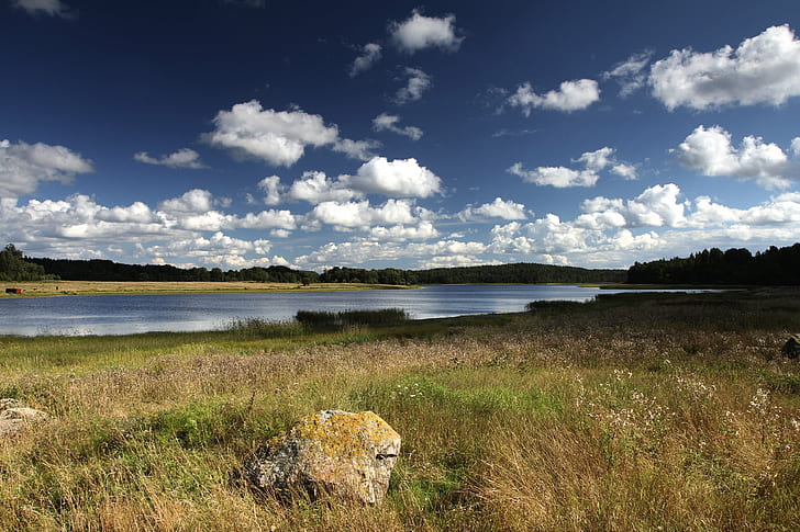 gray stone on green grass near river under white clouds and blue sky during daytime, vuoksa, vuoksa