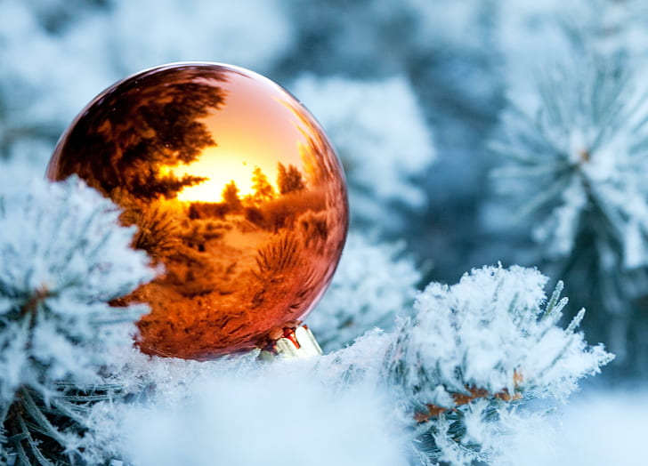 winter, branches, snow, spruce, tree, ball, christmas decorations, reflection, new year, HD wallpaper