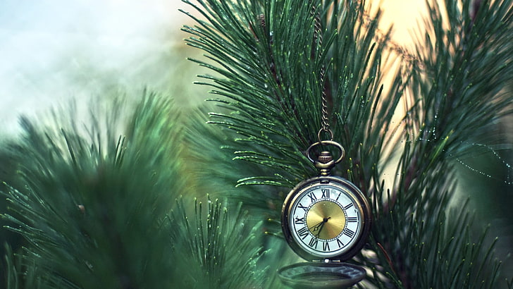 round analog pocket watch, fir, branches, christmas, clock, fir Tree