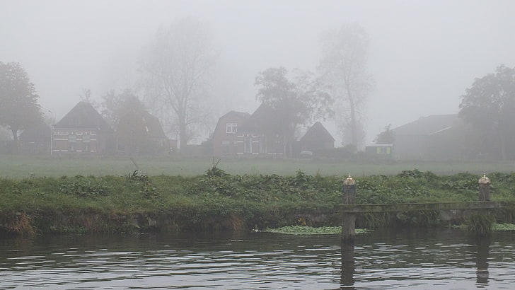 white-and-brown houses, mist, water, trees, landscape, fog, plant