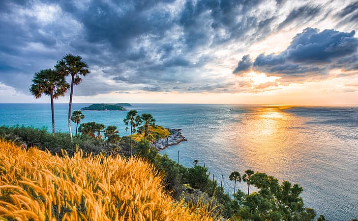 sunrise, palm trees, the ocean, dawn, coast, Thailand, Phuket, HD wallpaper