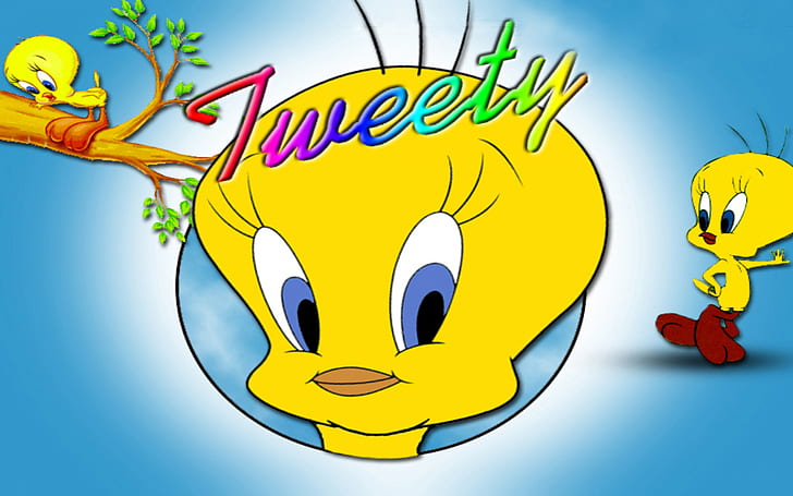 HD wallpaper: Tweety Bird Cartoon Hd Wallpapers For Mobile Phones
