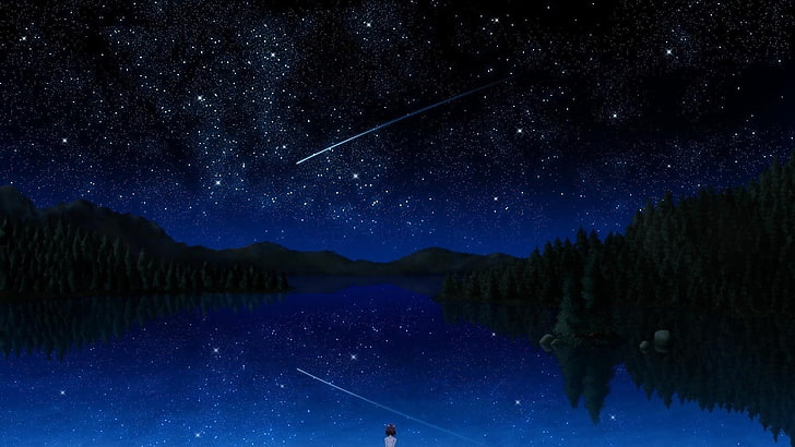 meteor, shooting star, night, night sky, starry, stars, space, HD wallpaper
