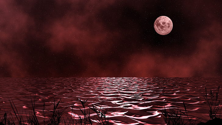 Moon Red Night Sky Forest Scenery 4K Wallpaper #6.2202