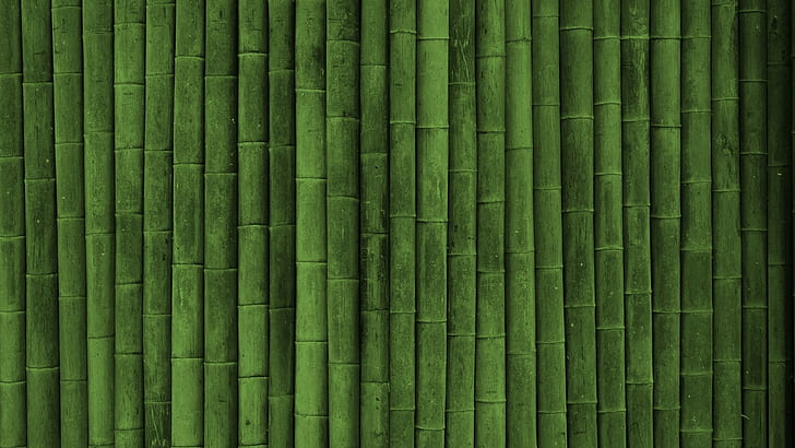 Green bamboo background, abstract natural wallpaper, beautiful Asian plant,  gorgeous fresh nature, summertime concept Stock Photo - Alamy