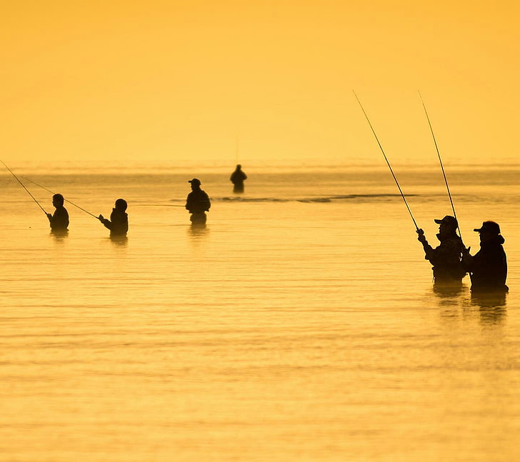 fishing, water, sunset, sky, silhouette, sea, group of people