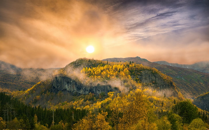 photo of green and yellow tree covered mountain, nature, landscape