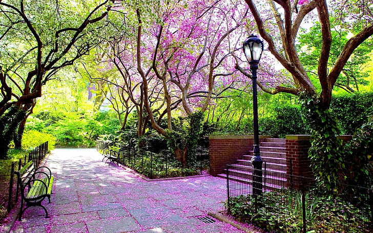 HD wallpaper: Beautiful Spring Park, Nature, Scenery, tree | Wallpaper Flare