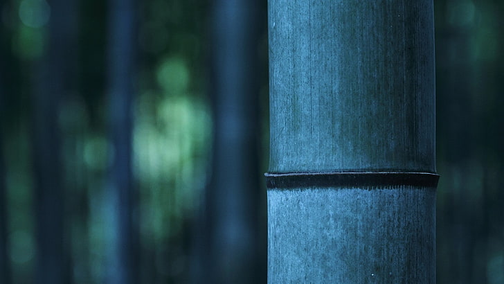 bamboo, architectural column, close-up, focus on foreground, HD wallpaper