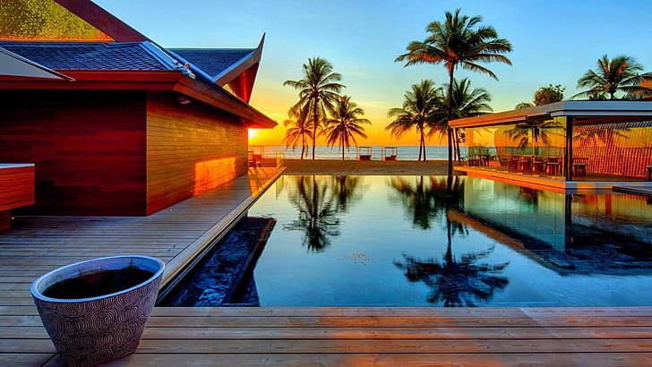 pool, trees, palm tree, sunset, buildings, summer, holiday