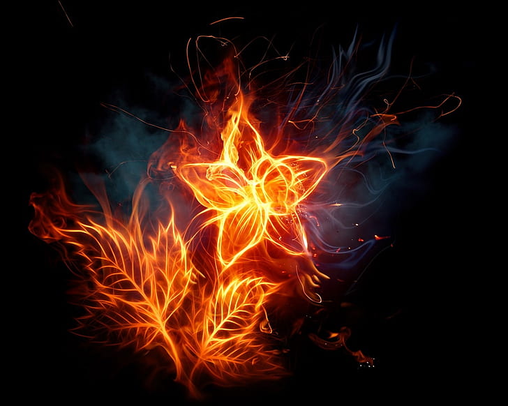 abstract stars fire black background fire flower 1280x1024  Nature Flowers HD Art, HD wallpaper