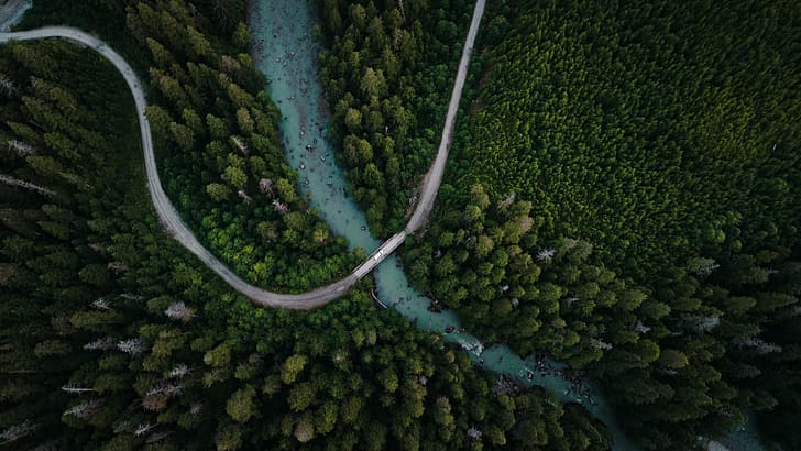 nature, trees, river, forest, rocks, aerial view, drone photo