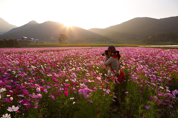 nature, landscape, photographer, women, camera, flower, flowering plant, HD wallpaper