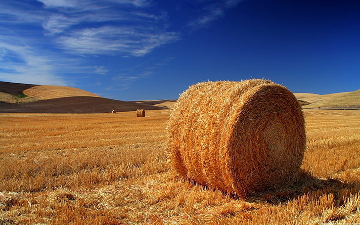 brown hay, bale, field, agriculture, straw, nature, rural Scene, HD wallpaper