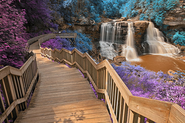 brown wooden stairs surrounded by purple and blue petal flower plant near water falls, blackwater falls, inca, blackwater falls, inca