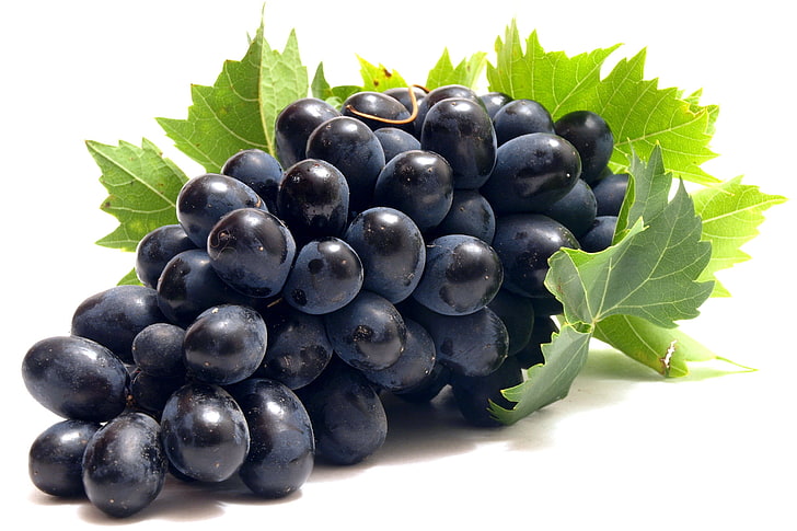ripe grape, grapes, branch, sweet, leaves, fruit, food, freshness, HD wallpaper