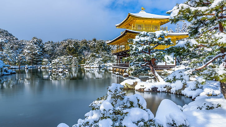 snow, winter, kinkaku-ji, nature, water, tree, tourist attraction