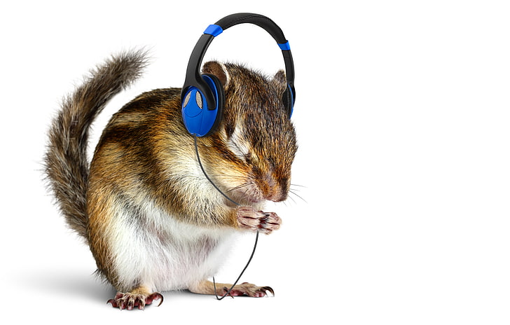 Music Rat Dj With Headphones Musical Rat Lovers Throw Pillow 