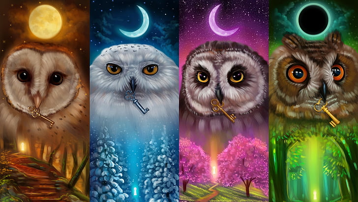 seasons, moon, owl, autumn, winter, spring, summer, moon phases, HD wallpaper