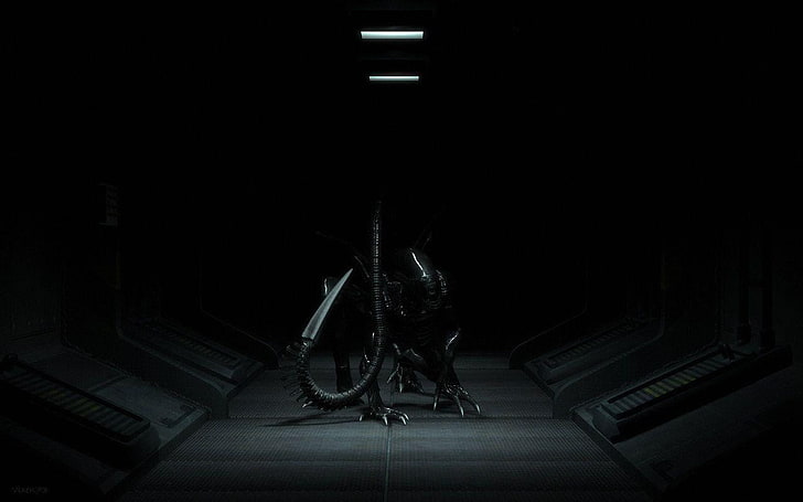 Alien (movie), Xenomorph, one person, dark, full length, indoors, HD wallpaper