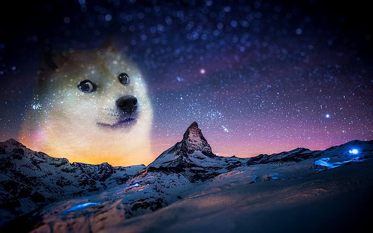 animals, Doge, Memes, night, snow, cold temperature, mountain